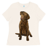 Bone chesapeake bay retriever Ladies Tee - LillyAllenDesigns