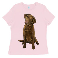 Bubblegum Pink chesapeake bay retriever Ladies Tee - LillyAllenDesigns