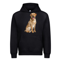 Black Labrador Retriever llustrations Urban Hoodie - LillyAllenDesigns
