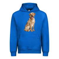 Cobalt Labrador Retriever llustrations Urban Hoodie - LillyAllenDesigns