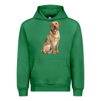 Emerald Labrador Retriever llustrations Urban Hoodie - LillyAllenDesigns