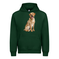 Forest Green Labrador Retriever llustrations Urban Hoodie - LillyAllenDesigns
