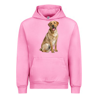 Fuchsia Pink Labrador Retriever llustrations Urban Hoodie - LillyAllenDesigns