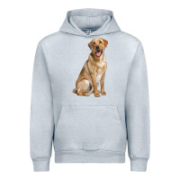 Heather Grey Labrador Retriever llustrations Urban Hoodie - LillyAllenDesigns