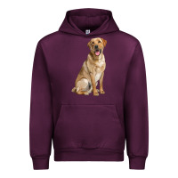 Labrador Retriever Llustrations Urban Hoodie | Teevron