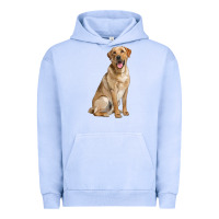 Pigment Grape Ice Labrador Retriever llustrations Urban Hoodie - LillyAllenDesigns
