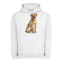 Pigment Lunar Rock Labrador Retriever llustrations Urban Hoodie - LillyAllenDesigns