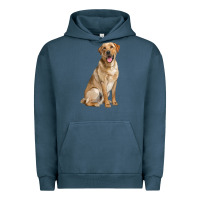Pigment Midnight Navy Labrador Retriever llustrations Urban Hoodie - LillyAllenDesigns