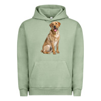 Pigment Oil Green Labrador Retriever llustrations Urban Hoodie - LillyAllenDesigns