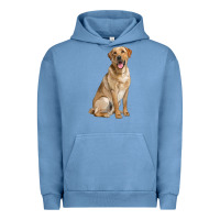 Pigment Pebble Blue Labrador Retriever llustrations Urban Hoodie - LillyAllenDesigns