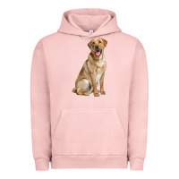 Pigment Salmon Labrador Retriever llustrations Urban Hoodie - LillyAllenDesigns