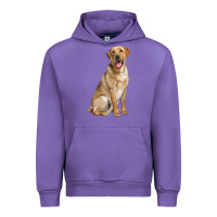 Tulip Labrador Retriever llustrations Urban Hoodie - LillyAllenDesigns