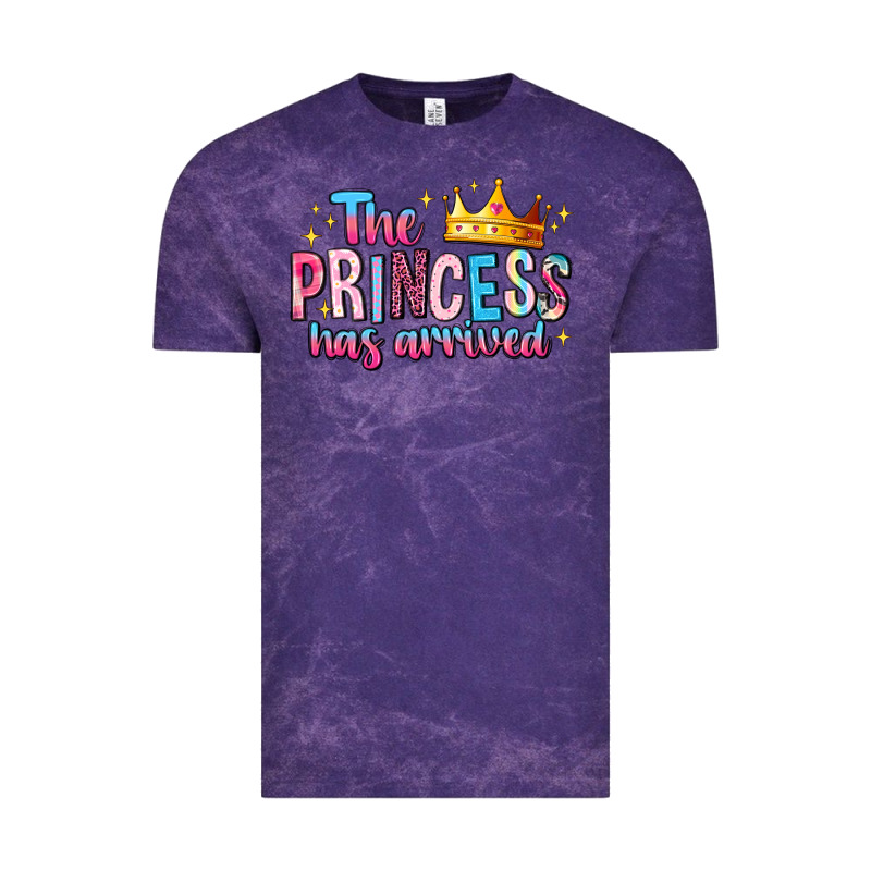 The Princess Has Arrived Vintage Tee by MaliasSmallBusiness | Teevron