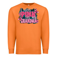 Carrot i wear pink for my grandma Premium Sweatshirt - FaDigitalArtStudio