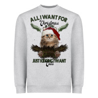 Heather Grey All I Want For Christmas Is You Just Kidding I Want Cats Heavyweight Sweatshirt - Bettercallsaul