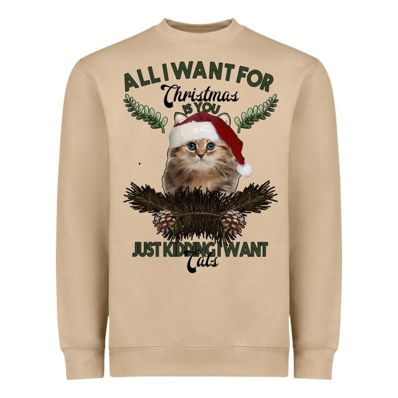 All I Want For Christmas Is You Just Kidding I Want Cats Heavyweight Sweatshirt by Bettercallsaul | Teevron