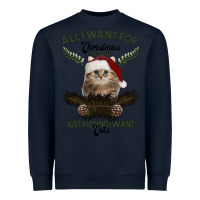 Navy All I Want For Christmas Is You Just Kidding I Want Cats Heavyweight Sweatshirt - Bettercallsaul