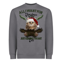 Storm All I Want For Christmas Is You Just Kidding I Want Cats Heavyweight Sweatshirt - Bettercallsaul