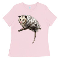 Bubblegum Pink opossum Ladies Tee - LillyAllenDesigns