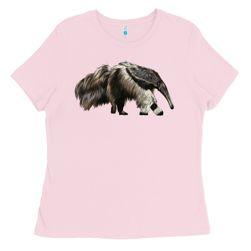 Anteaters Ladies Tee by LillyAllenDesigns | Teevron