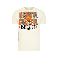 Vintage Arctic Thankful Grateful Blessed Vintage Tee - MaliasSmallBusiness