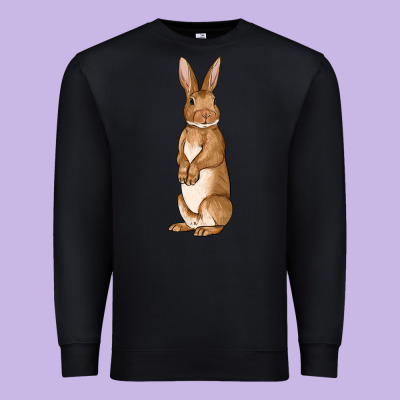 Bunny Easter Premium Sweatshirt Designed By Oliviacreatesart