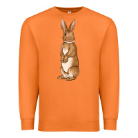 Carrot Bunny Easter Premium Sweatshirt - OliviaCreatesArt