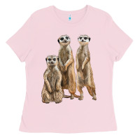 Bubblegum Pink 3 meerkat Ladies Tee - LillyAllenDesigns