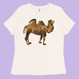 Camel Ladies Tee Designed By Lillyallendesigns