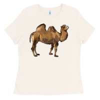 Bone Camel Ladies Tee - LillyAllenDesigns