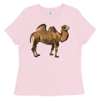 Bubblegum Pink Camel Ladies Tee - LillyAllenDesigns