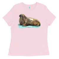 Walrus Ladies Tee | Teevron