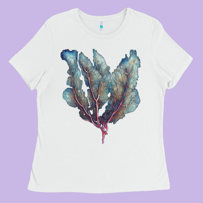 Venus Fan Sea Coral Ladies Tee Designed By Lillyallendesigns
