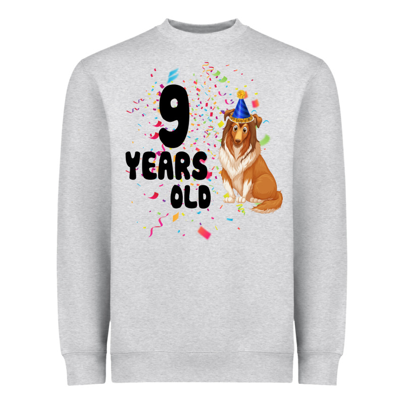 9 Years Old Heavyweight Sweatshirt by Bettercallsaul | Teevron