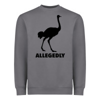 Storm ALLEGEDLY FUNNY OSTRICH Heavyweight Sweatshirt - Bettercallsaul
