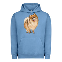 Pigment Pebble Blue Pomeranian Dog Illustrations Urban Hoodie - LillyAllenDesigns