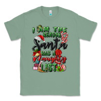 Sage i am the reason santa has a naughty list Classic Tee - MaliasSmallBusiness