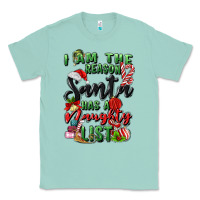 Seafoam i am the reason santa has a naughty list Classic Tee - MaliasSmallBusiness