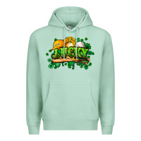Seafoam St. Patrick's Day Baseball Premium Hoodie - HowdyJamesFarm