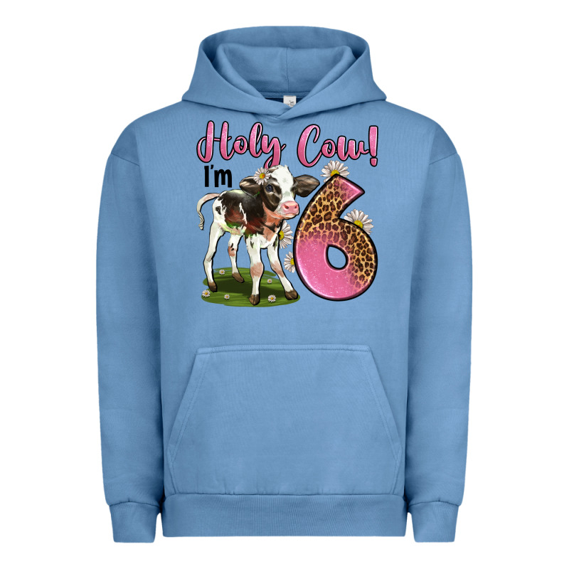 Holy Cow I'm 6 Years Old Urban Hoodie by LillyAllenDesigns | Teevron