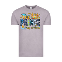Vintage Zinc The Prince Has Arrived Vintage Tee - MaliasSmallBusiness
