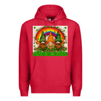 Cardinal St. Patrick's Day gnomies tumbler Premium Hoodie - HowdyJamesFarm