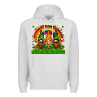 Dove Grey St. Patrick's Day gnomies tumbler Premium Hoodie - HowdyJamesFarm
