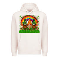 Pale Pink St. Patrick's Day gnomies tumbler Premium Hoodie - HowdyJamesFarm