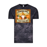 Cloud Black Pumpkin Spice Everything Nice Gnome Vintage Tee - MaliasSmallBusiness