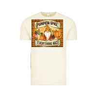 Vintage Arctic Pumpkin Spice Everything Nice Gnome Vintage Tee - MaliasSmallBusiness