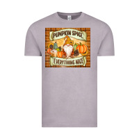 Vintage Zinc Pumpkin Spice Everything Nice Gnome Vintage Tee - MaliasSmallBusiness
