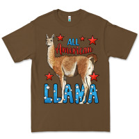 Cacao All American Llama Premium Tee - LillyAllenDesigns
