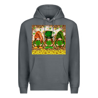 Rock St. Patrick's Day gnomies with leopard tumbler Premium Hoodie - HowdyJamesFarm
