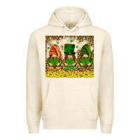 Sandshell St. Patrick's Day gnomies with leopard tumbler Premium Hoodie - HowdyJamesFarm